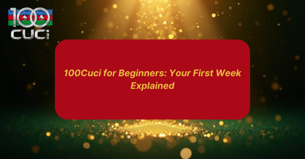 Beginners guide by 100cuci.digital