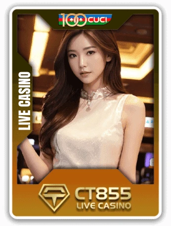 game provider card 10 – 100CUCI by 100cuci.digital