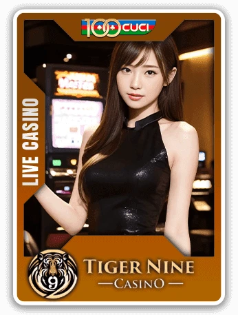 game provider card 17 – 100CUCI by 100cuci.digital